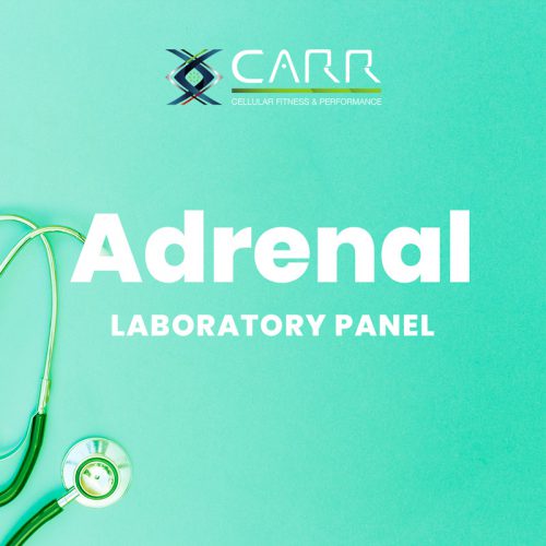 Adrenal Panel